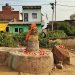 Shivling found in the middle of the cemetery