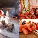 CM Yogi worshiped the religious flag in Guru Gorakshanath Akhara