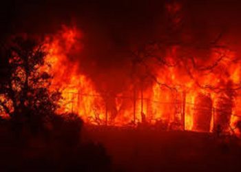 California Forest Fire