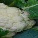 Cauliflower