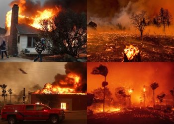 5 deaths in USA forest fire