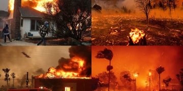 5 deaths in USA forest fire