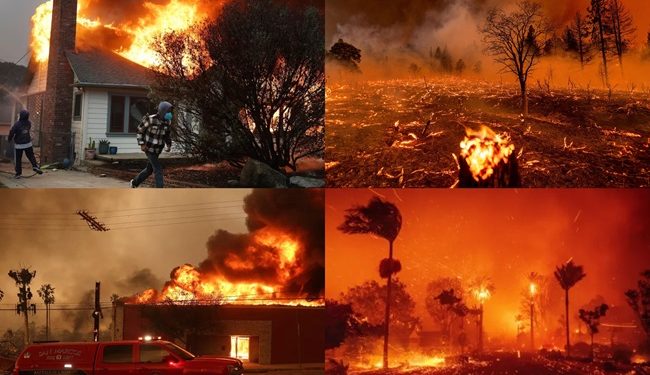 5 deaths in USA forest fire