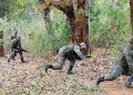 14 Naxalites killed in encounter in Gariaband