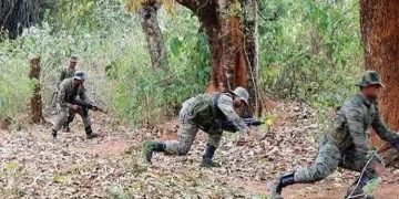 14 Naxalites killed in encounter in Gariaband