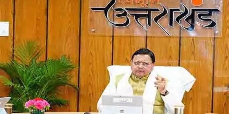 CM Dhami