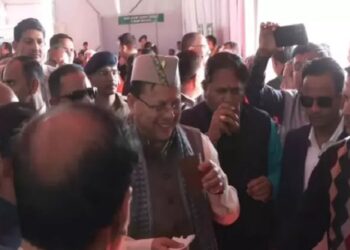 cm dhami