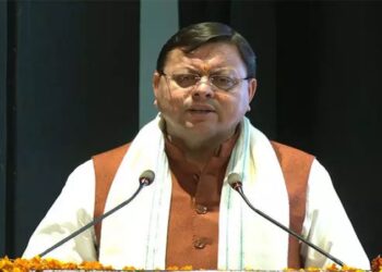 cm dhami