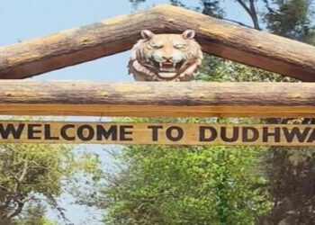 Dudhwa festival