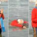 PM Modi took a bath in the Triveni Sangam
