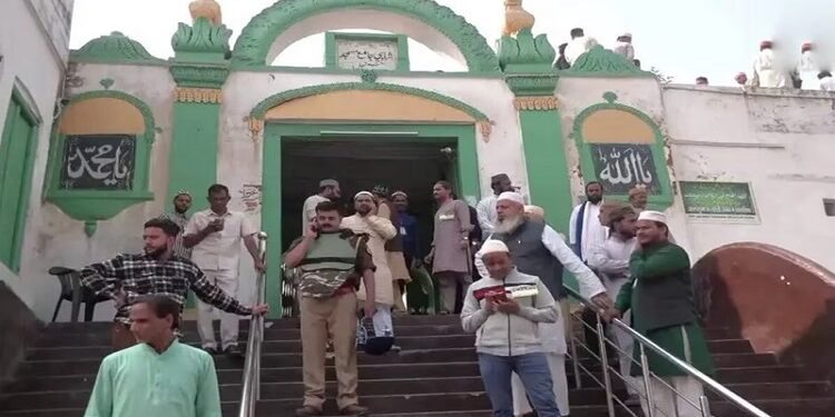 Zafar Ali Head Of Sambhal Jama Masjid Into Custody