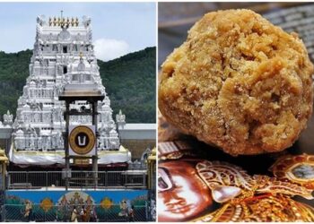 Tirupati Laddu