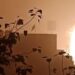 Fire breaks out at under-construction bullet train station