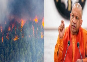 Fire control cell became active on the instructions of CM Yogi