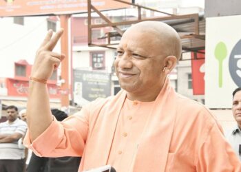 yogi
