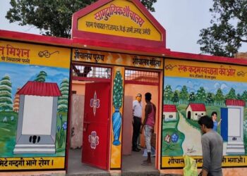 Sanitation Model