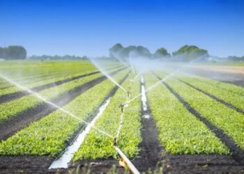 Agriculture