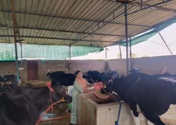 Kashi Milk Producer Company