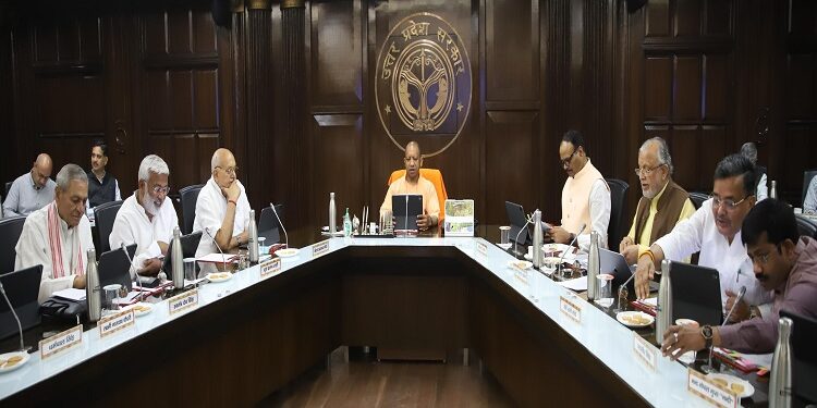 Yogi Cabinet
