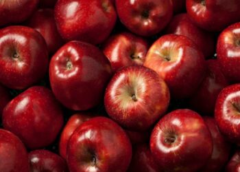 Apples