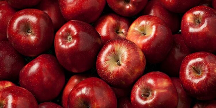 Apples
