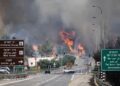 A huge fire broke out in the forests of this country