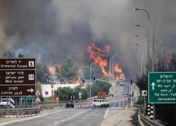 A huge fire broke out in the forests of this country