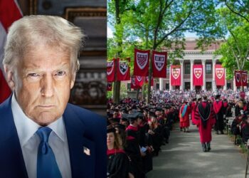 Harvard University