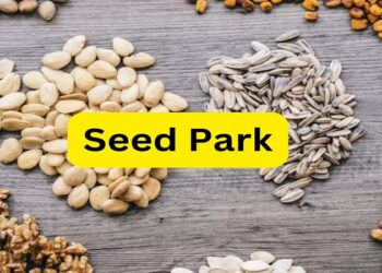 Seed Park