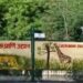 Zoo