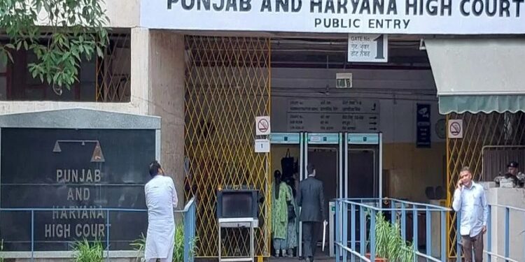 chandigarh high court