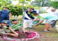 CM Dhami planted a tree under the campaign 'Ek Ped Maa Ke Naam'