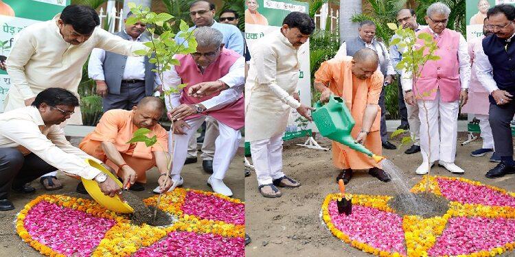 CM Yogi planted trees on World Environment Day