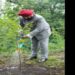 Governor Gurmeet Singh