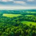 forest land