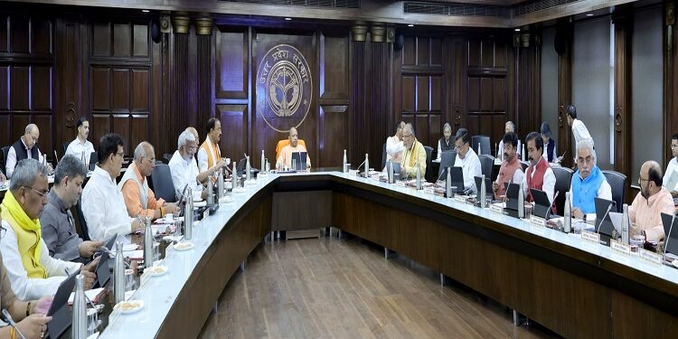 yogi cabinet