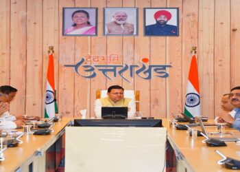 CM Dhami