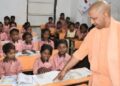 yogi