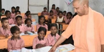 yogi