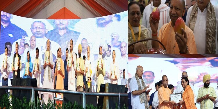 CM Yogi