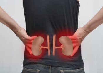 Kidney