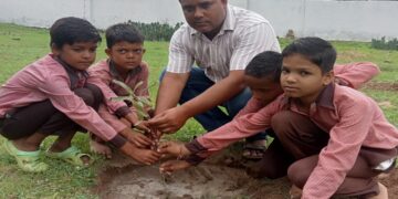 Plantation Campaign 2025