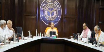 Yogi Cabinet