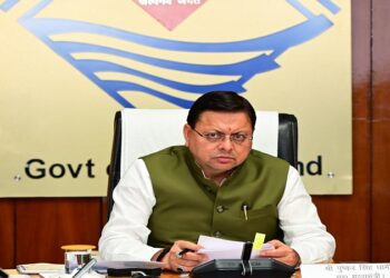 cm dhami