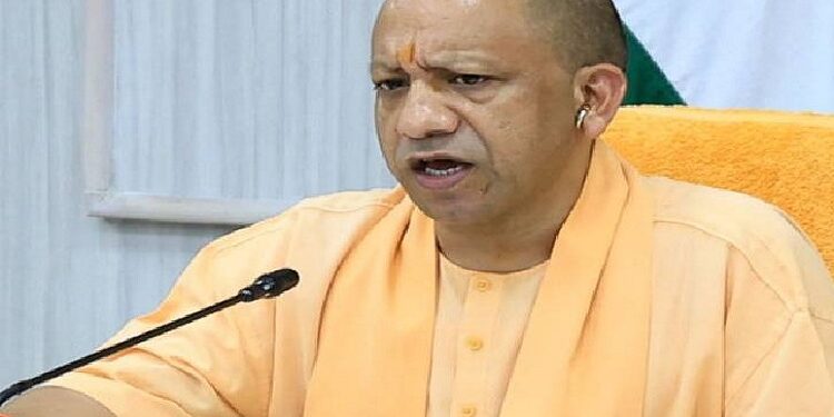 cm yogi