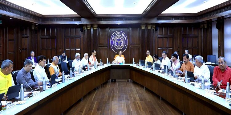 yogi cabinet