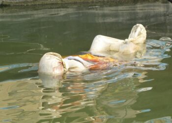 750 bodies recovered from Bangladesh rivers