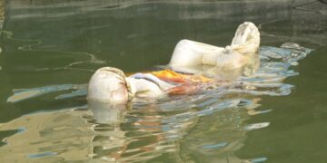 750 bodies recovered from Bangladesh rivers