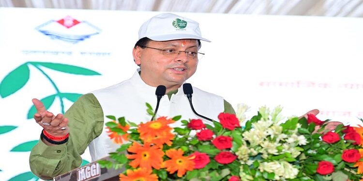 CM Dhami