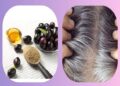 Jamun Seeds for Grey Hair